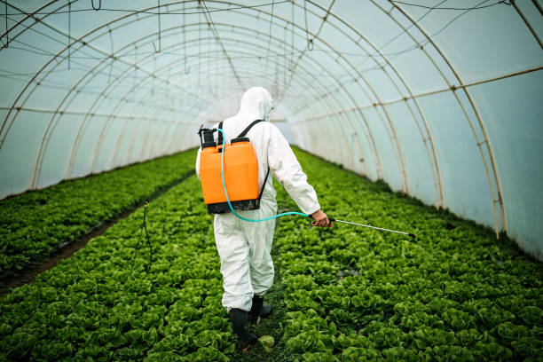 Best Mosquito Control Services  in San Joaquin, CA