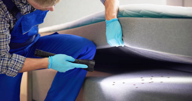 Best Affordable Pest Control Services  in San Joaquin, CA