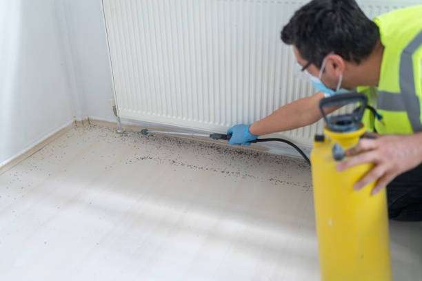 Best Insect Control  in San Joaquin, CA