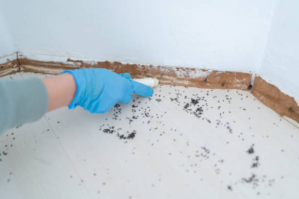 Best Pest Control for Restaurants  in San Joaquin, CA