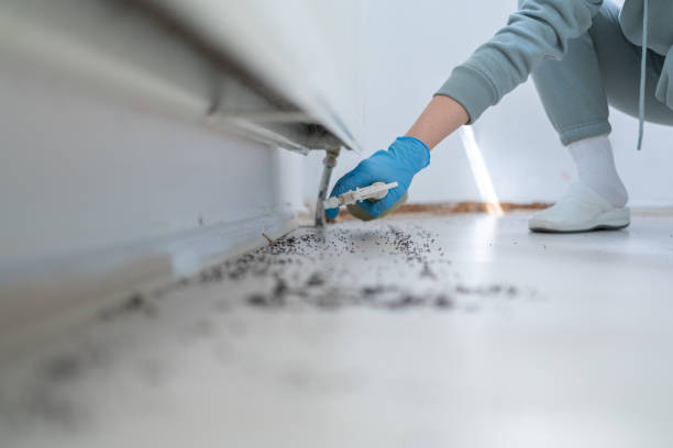 Best Commercial Pest Control Services  in San Joaquin, CA
